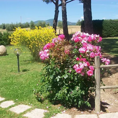 Capracotta Montemassi
